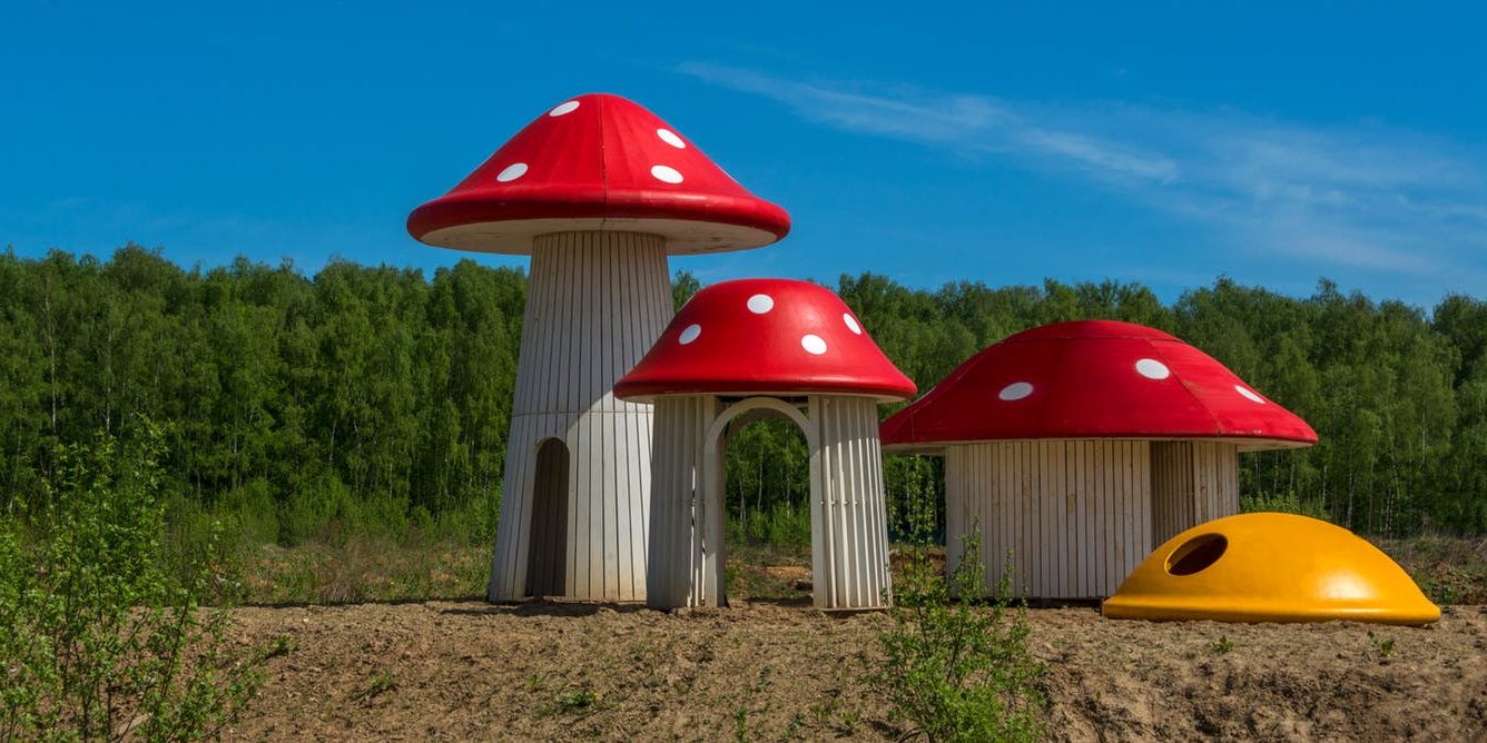 fungus-bldg new building material