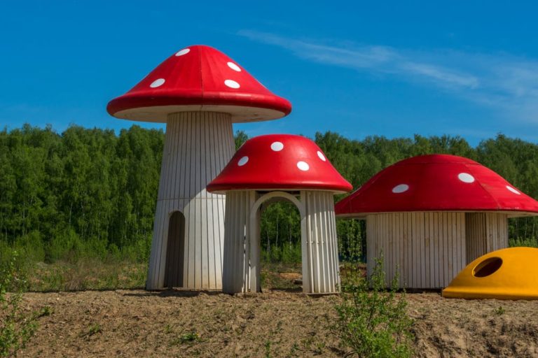 new building material