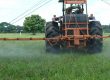 Structural Pest and Vector Management