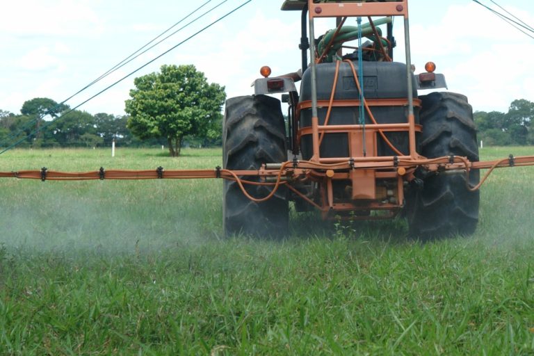 Structural Pest and Vector Management